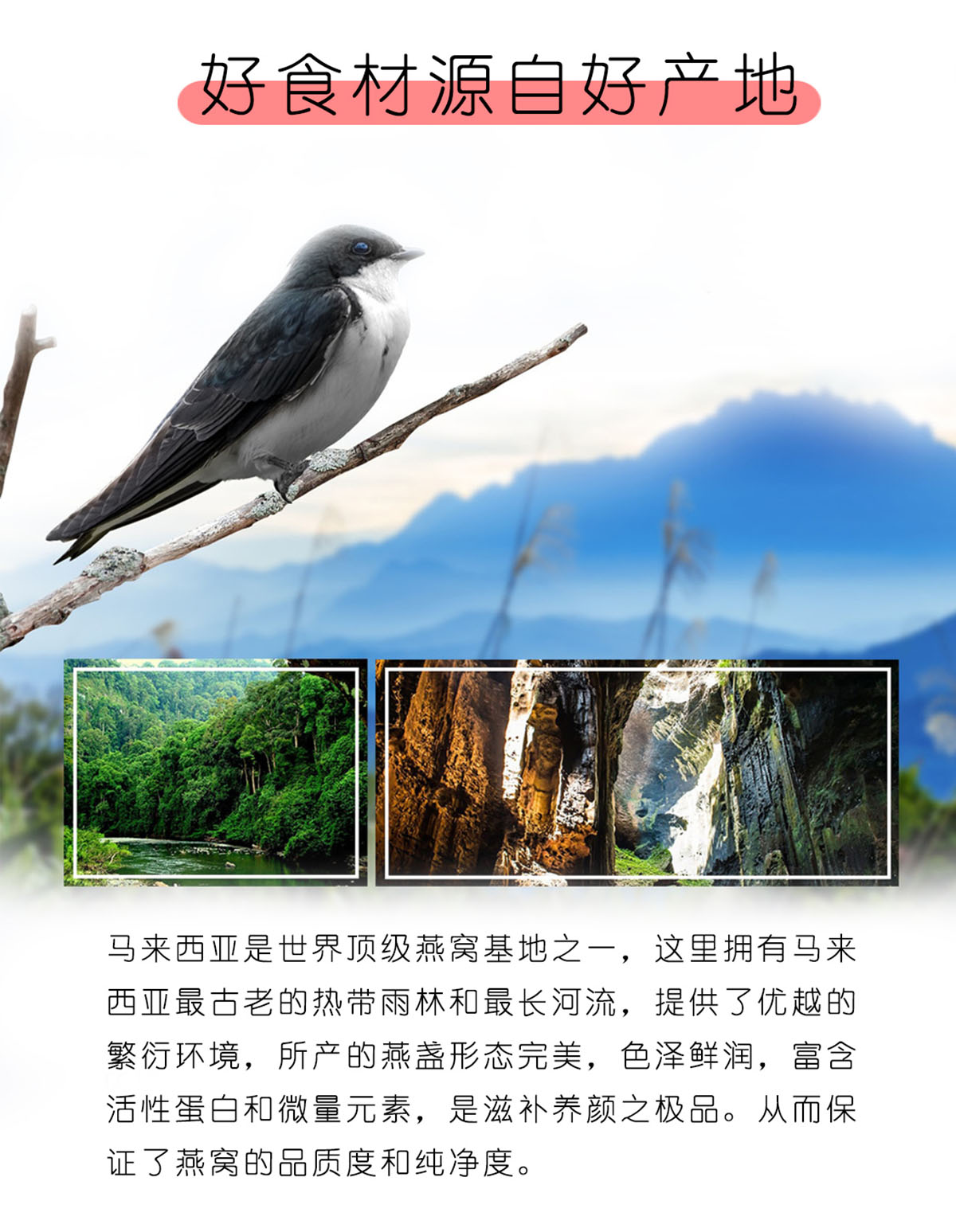 产地介绍（3）.jpg